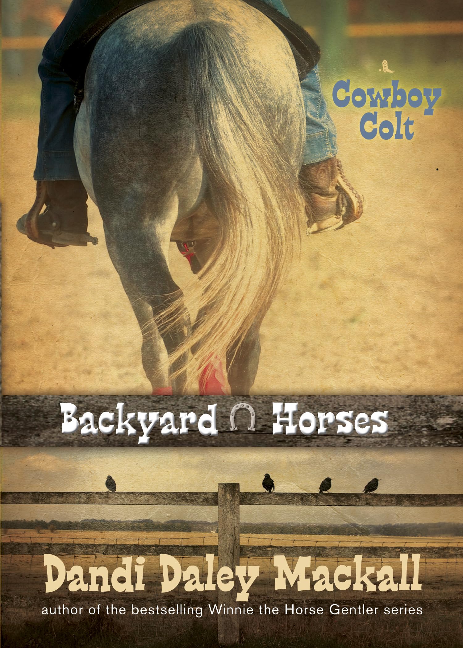 Cowboy Colt (Backyard Horses),Used