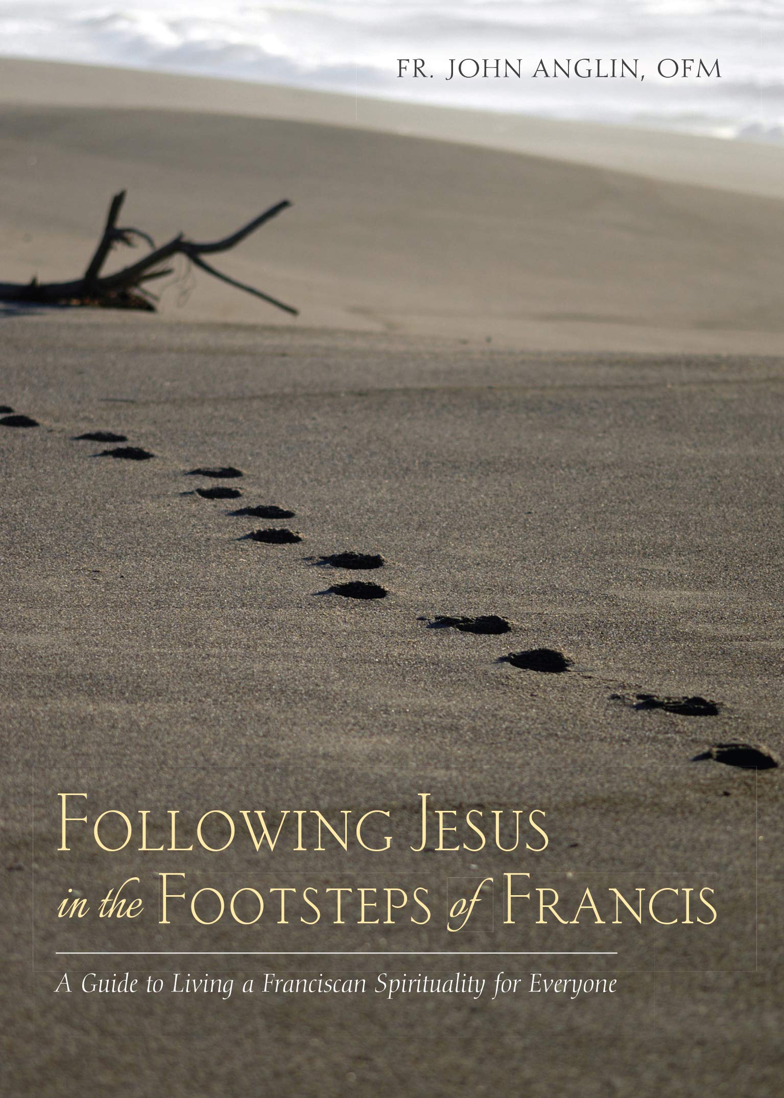 Following Jesus in the Footsteps of Francis: A Guide to Living a Franciscan Spirituality for Everyone,Used