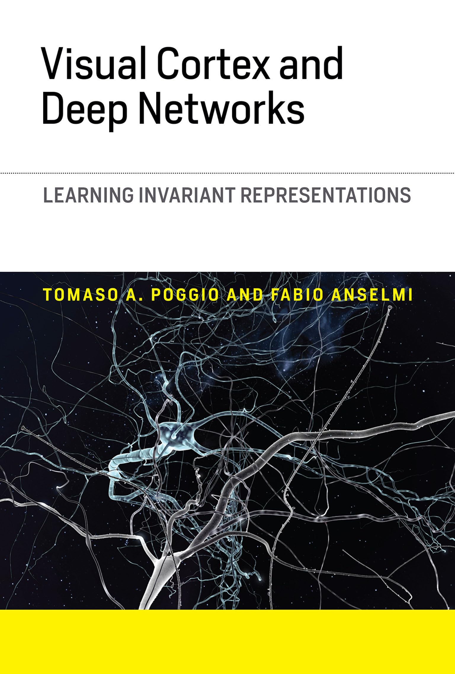 Visual Cortex and Deep Networks: Learning Invariant Representations (Computational Neuroscience Series),Used