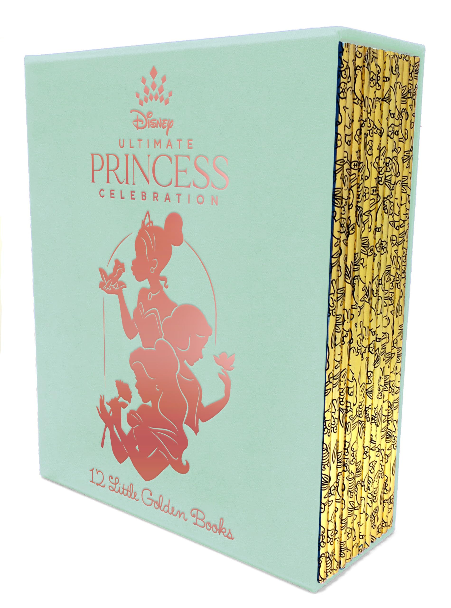 Ultimate Princess Boxed Set of 12 Little Golden Books (Disney Princess),Used