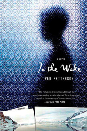 In The Wake: A Novel,Used