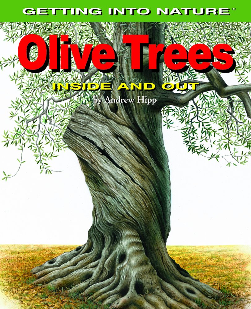 Olive Trees Inside and Out (Getting into Nature),Used