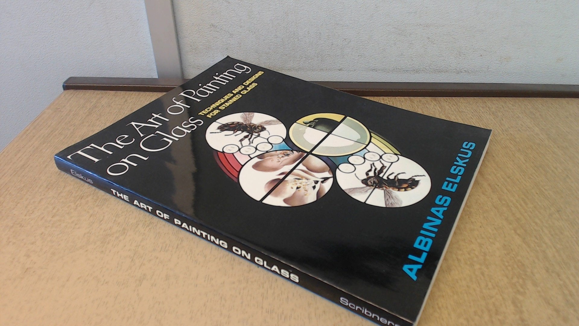 The Art of Painting on Glass,Used