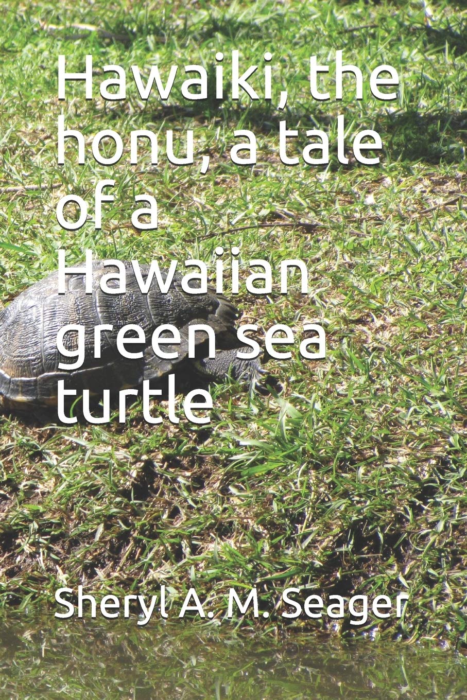 Hawaiki, the honu, a tale of a Hawaiian green sea turtle,Used
