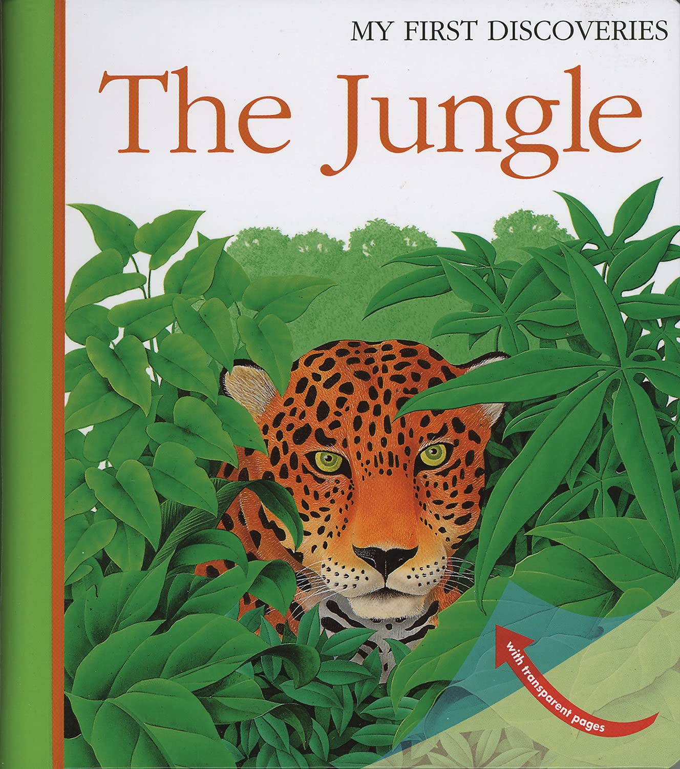 The Jungle (18) (My First Discoveries),Used
