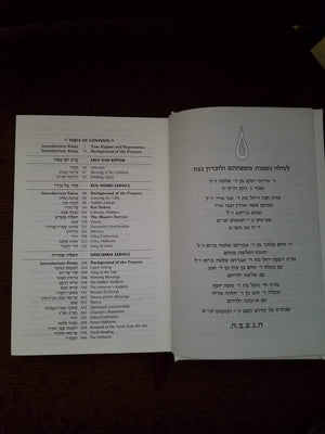 ArtScroll Transliterated Linear Machzor: Yom Kippur,Used