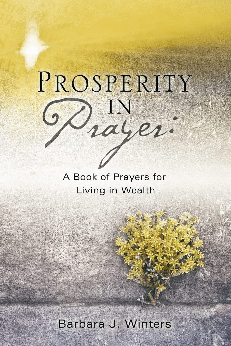 Prosperity in Prayer,Used