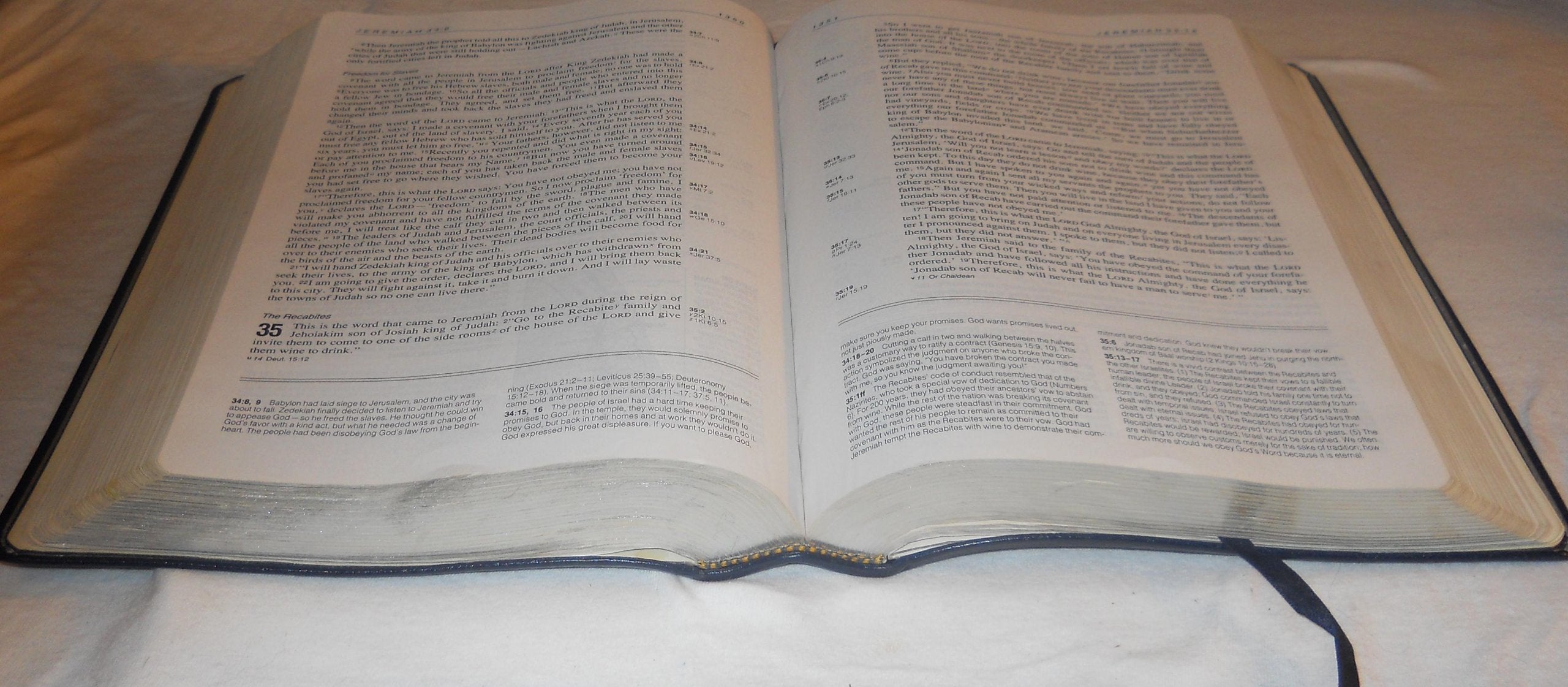 Life Application Bible