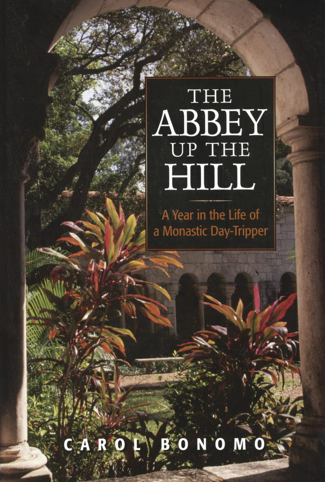 The Abbey Up The Hill: A Year In The Life Of A Monastic Day Tripper,Used