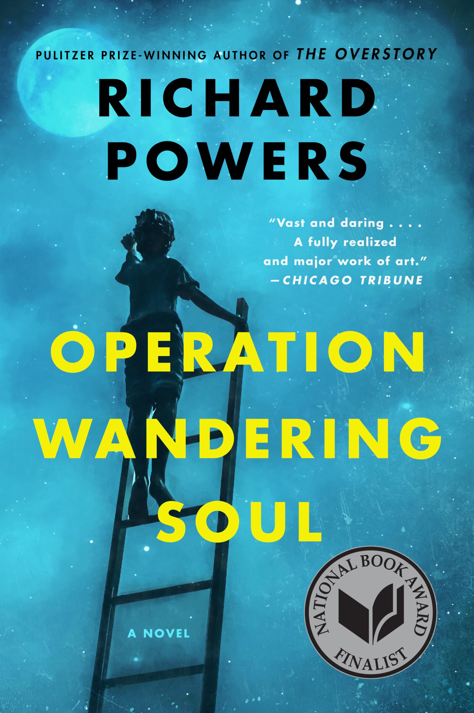 OPERATION WANDERING SOUL,Used