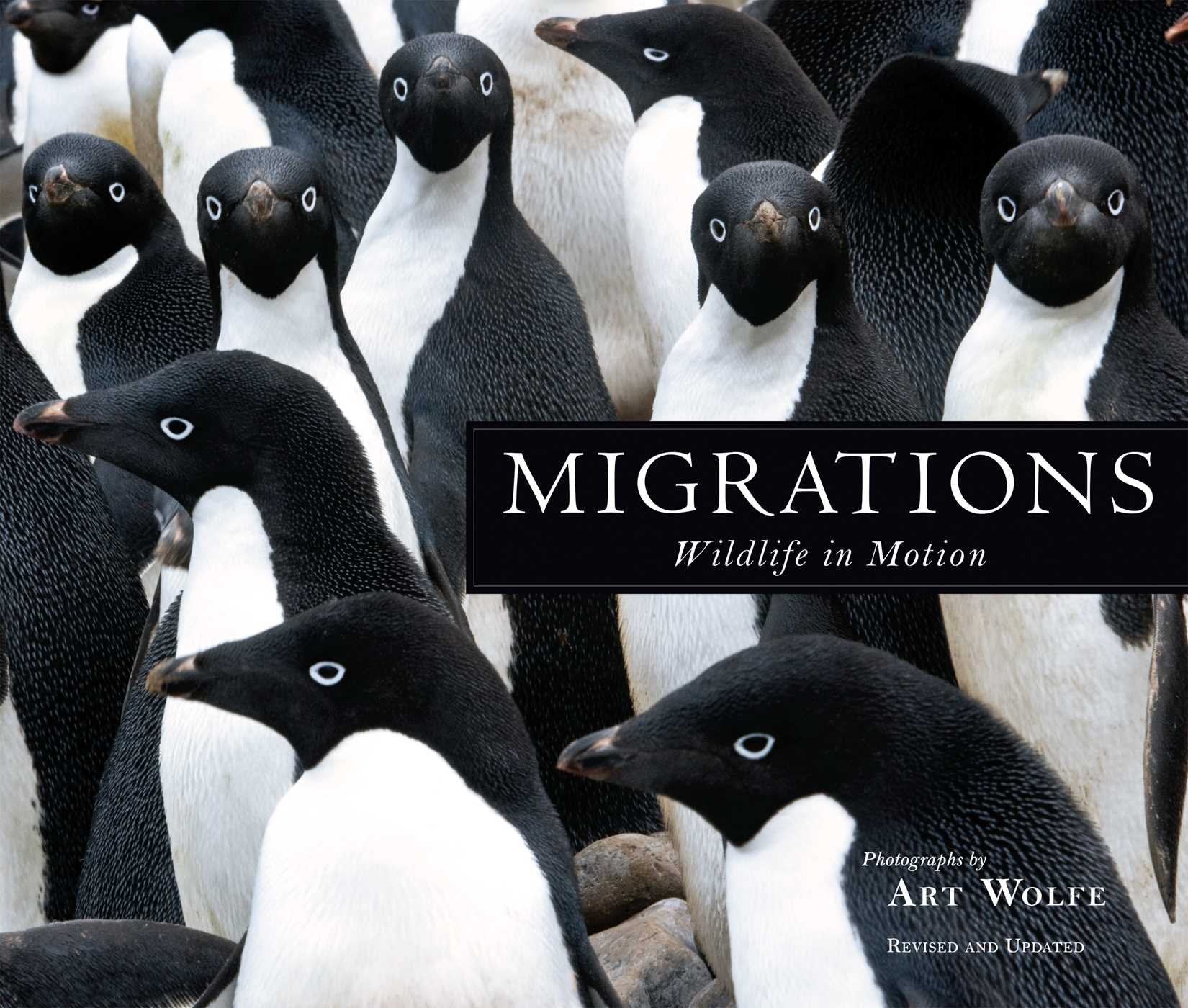 Migrations: Wildlife In Motion,Used