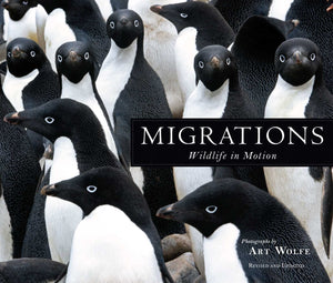 Migrations: Wildlife In Motion,Used