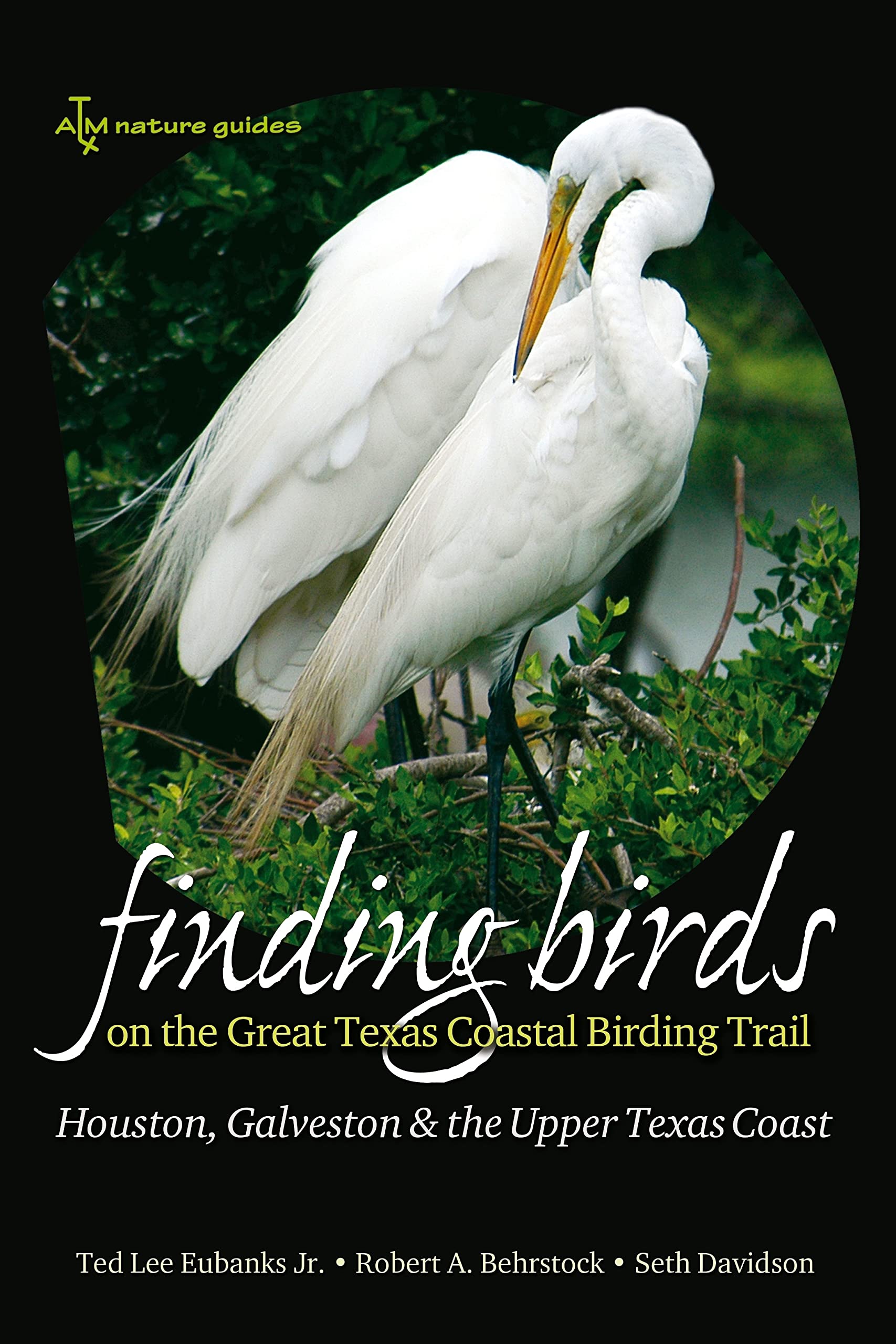 Finding Birds On The Great Texas Coastal Birding Trail: Houston, Galveston, And The Upper Texas Coast (Volume 12) (Gulf Coast Bo