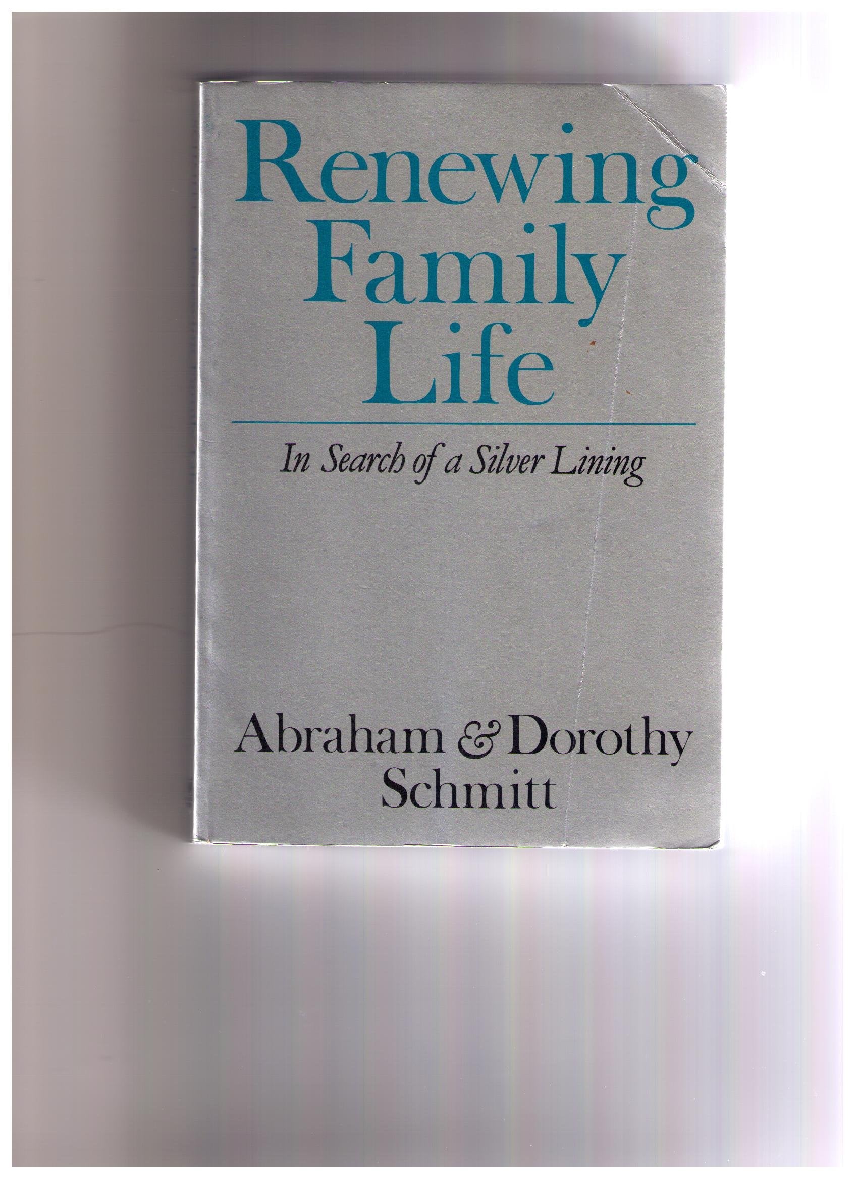 Renewing Family Life: In Search Of A Silver Lining-new,New