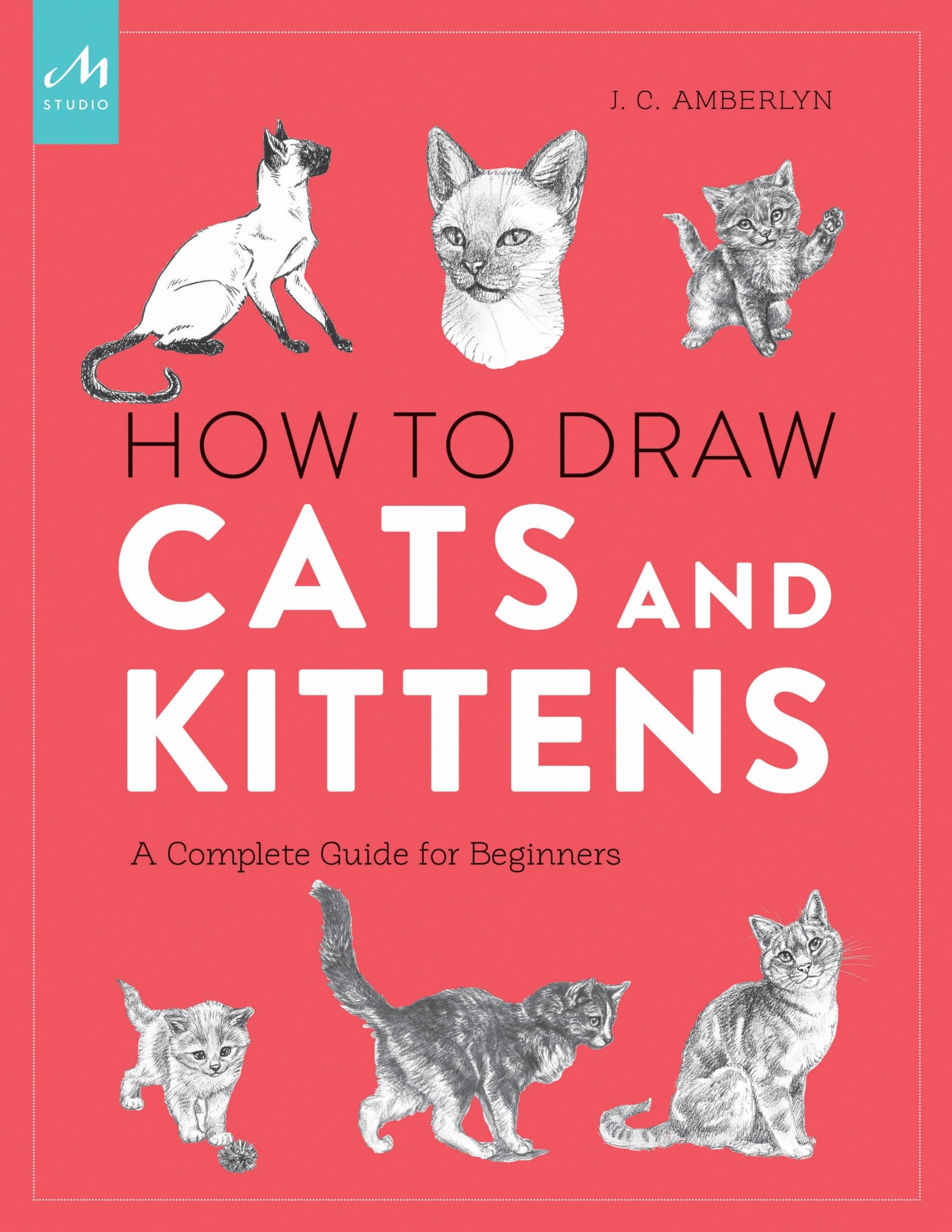 How To Draw Cats And Kittens: A Complete Guide For Beginners