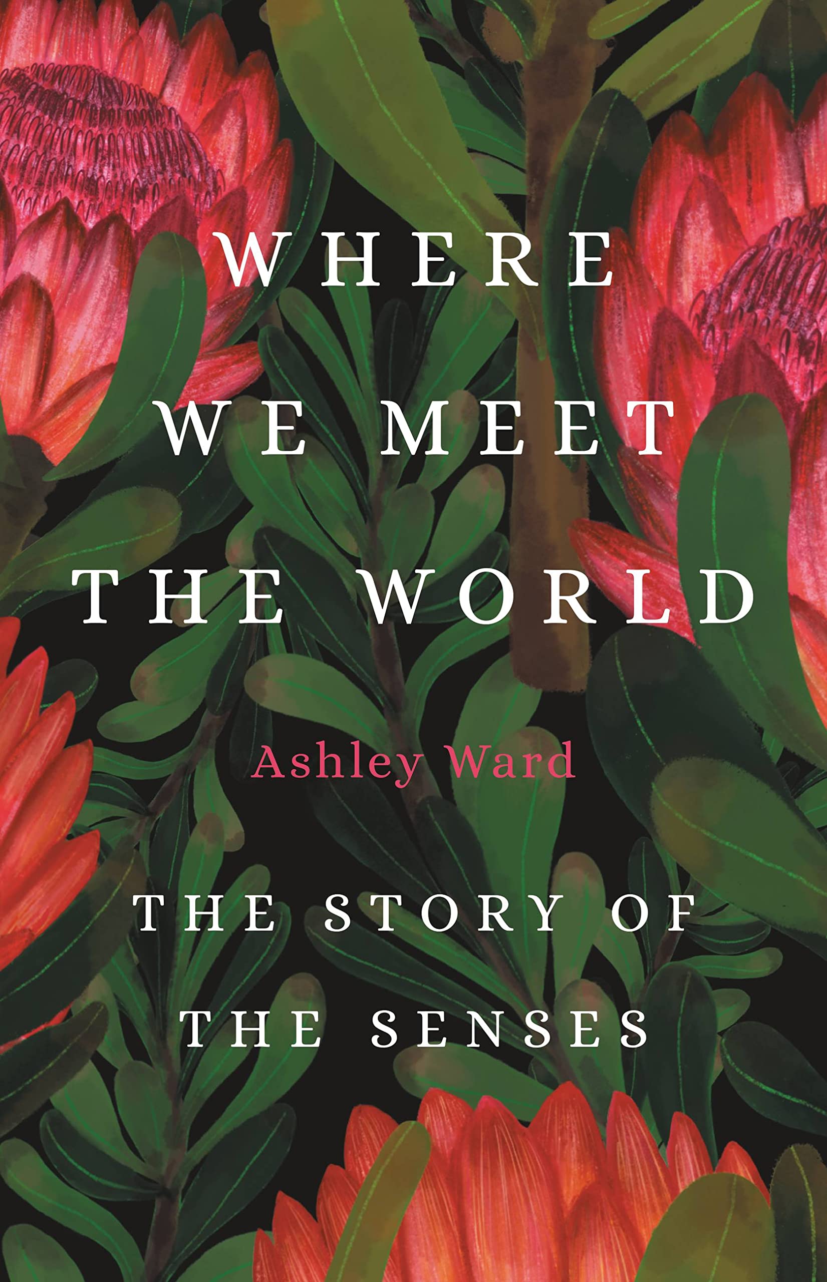 Where We Meet The World: The Story Of The Senses,Used