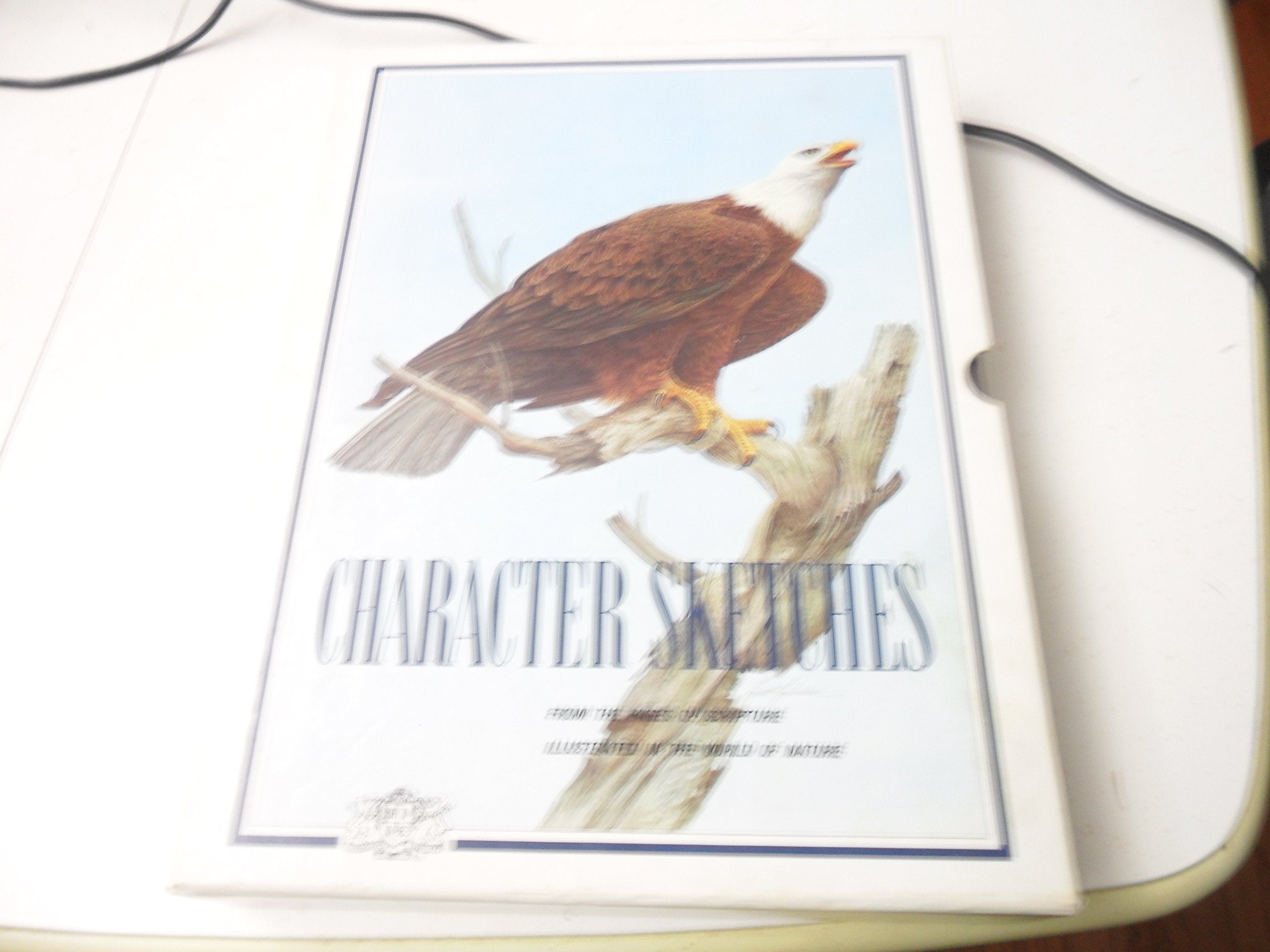 Character Sketches, From The Pages Of Scripture Illustrated In The World Of Nature, Vol. Iii,New