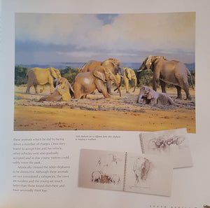 Africa: An Artist'S Journal