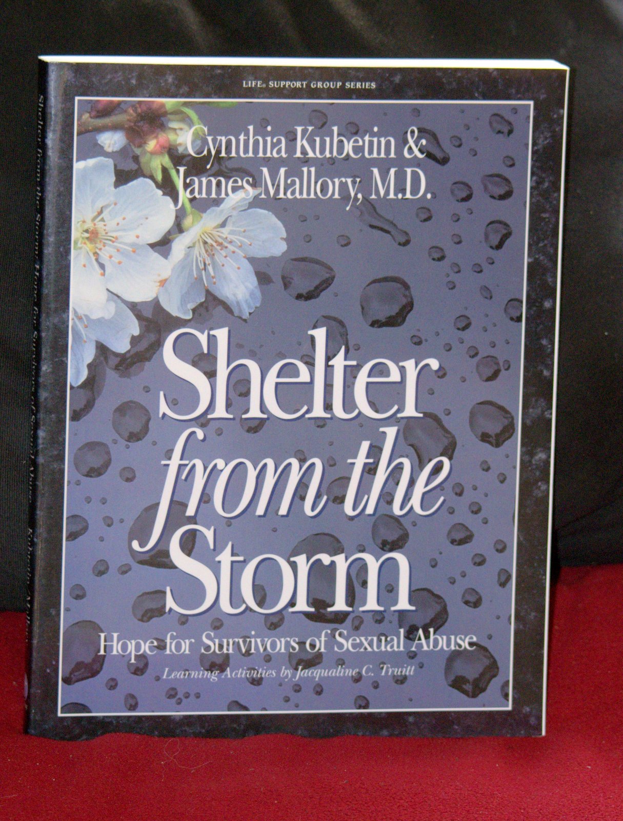 Shelter From The Storm: Hope For Survivors Of Sexual Abuse (Life Support Group Series)