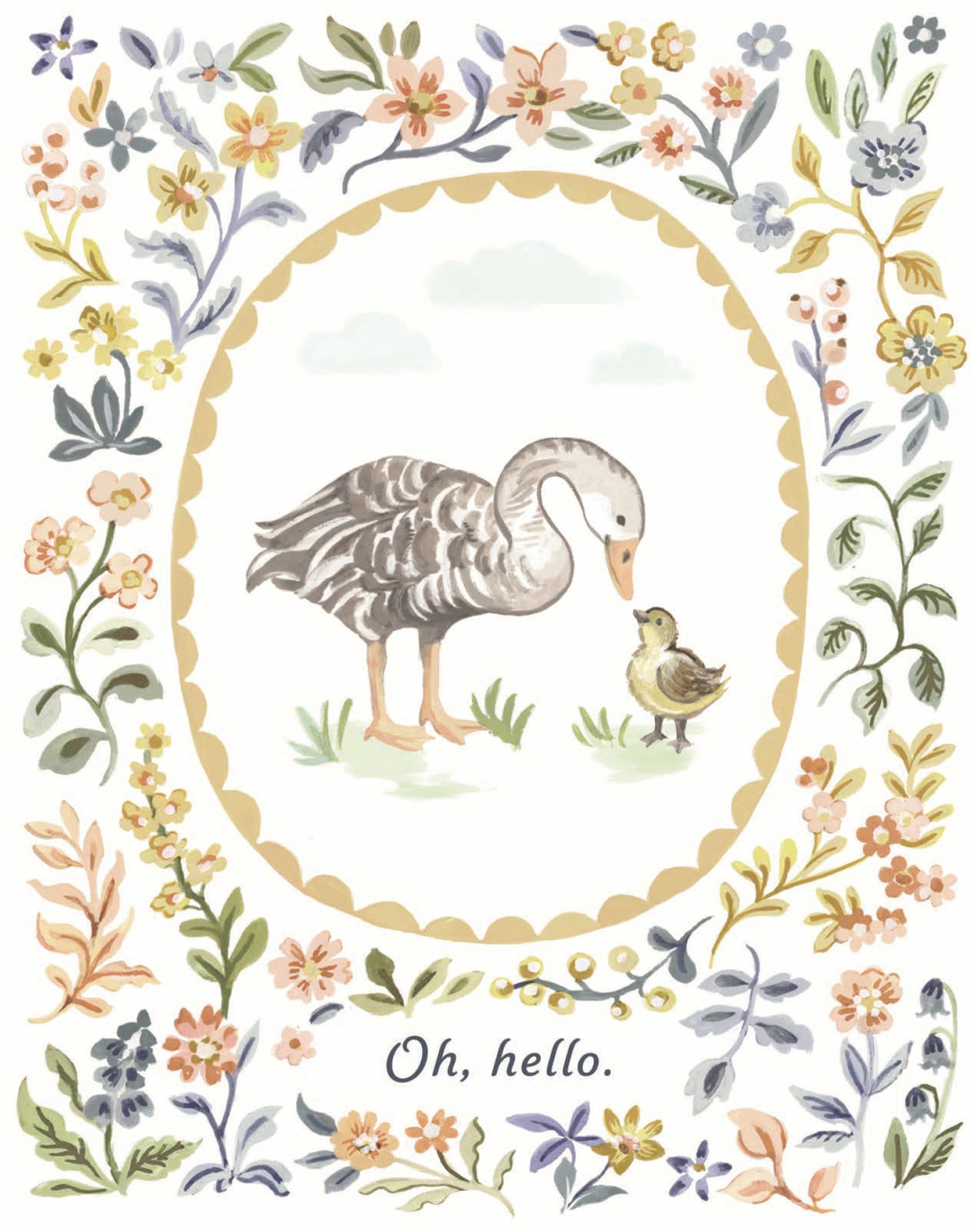 Love Muchly Greeting Cards: Baby  Oh, Hello (Pack Of 6)