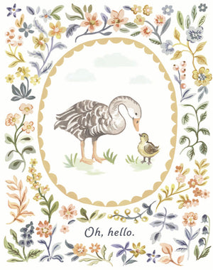 Love Muchly Greeting Cards: Baby  Oh, Hello (Pack Of 6)