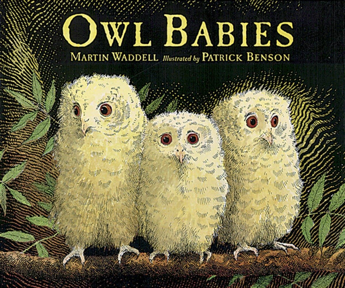 Owl Babies Big Book,Used