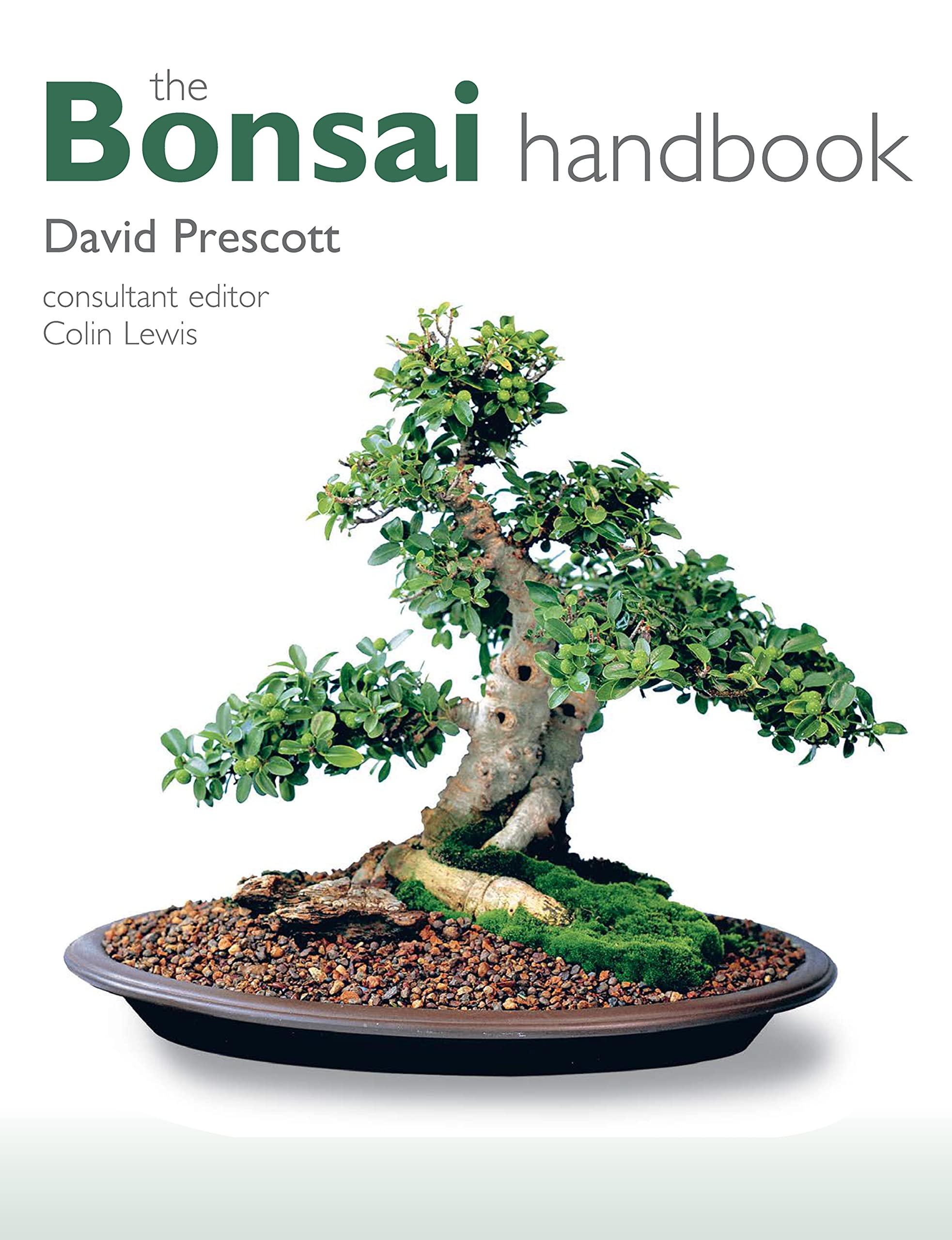 The Bonsai Handbook (IMM Lifestyle Books) The Science and Art of Bonsai from Anatomy to Aesthetics, and How to Grow Your Own, in,Used