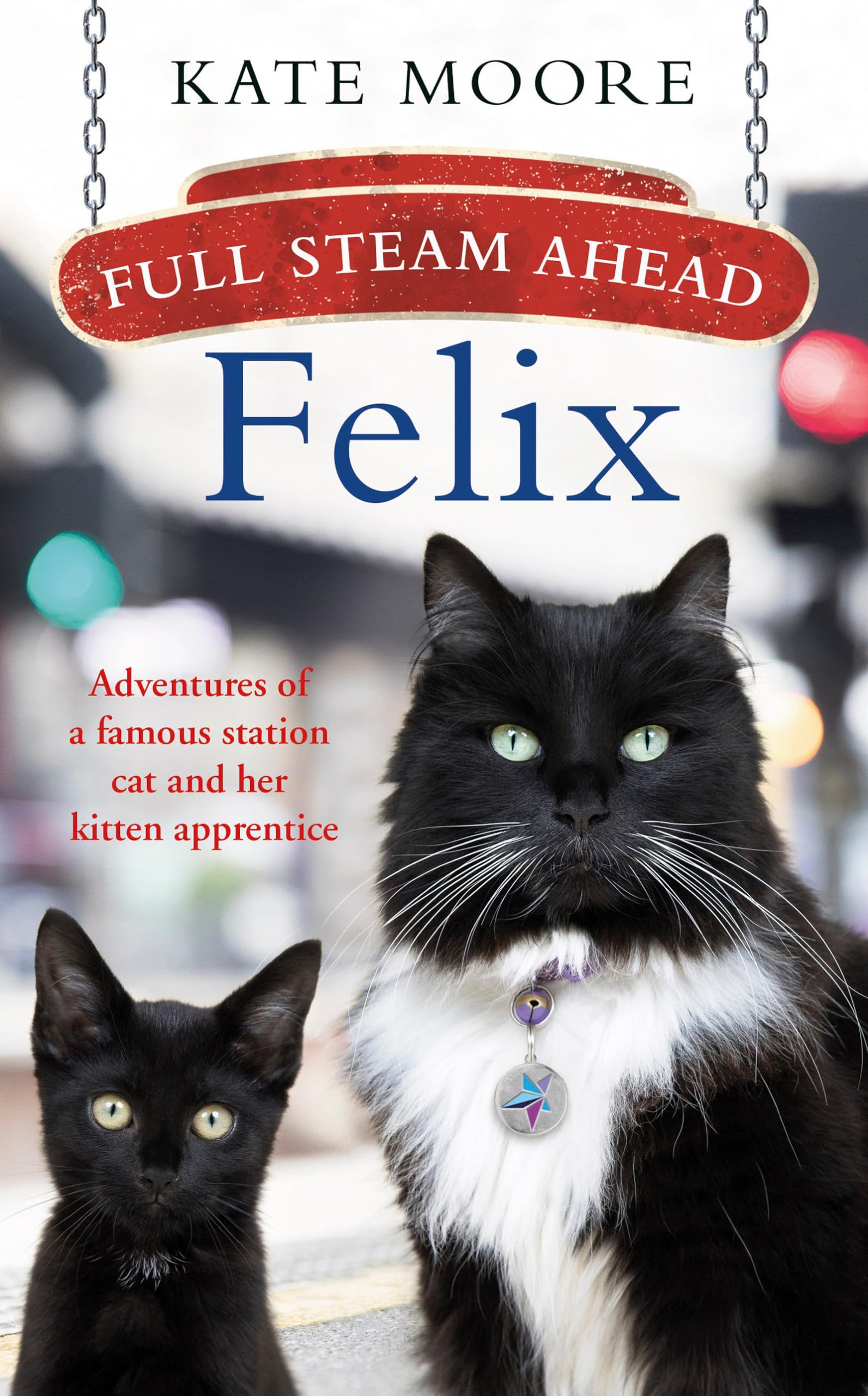Full Steam Ahead, Felix: Adventures of a famous station cat and her kitten apprentice,Used