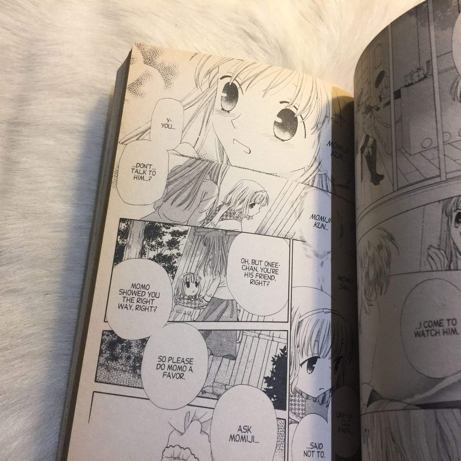 Fruits Basket, Vol. 13,New