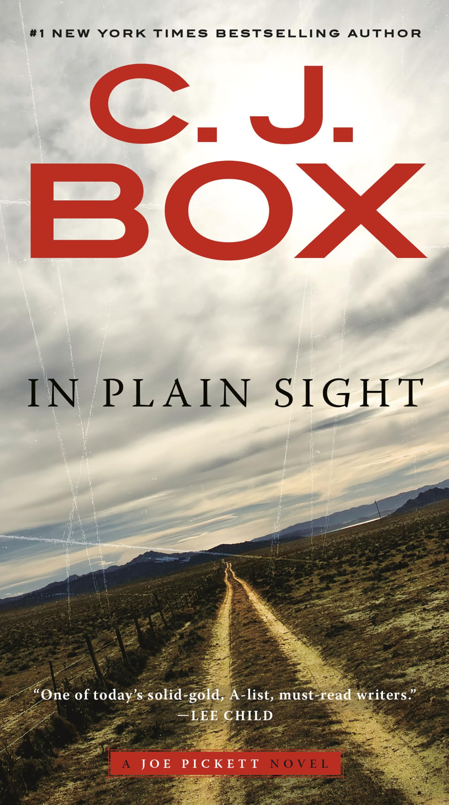 In Plain Sight (A Joe Pickett Novel),New