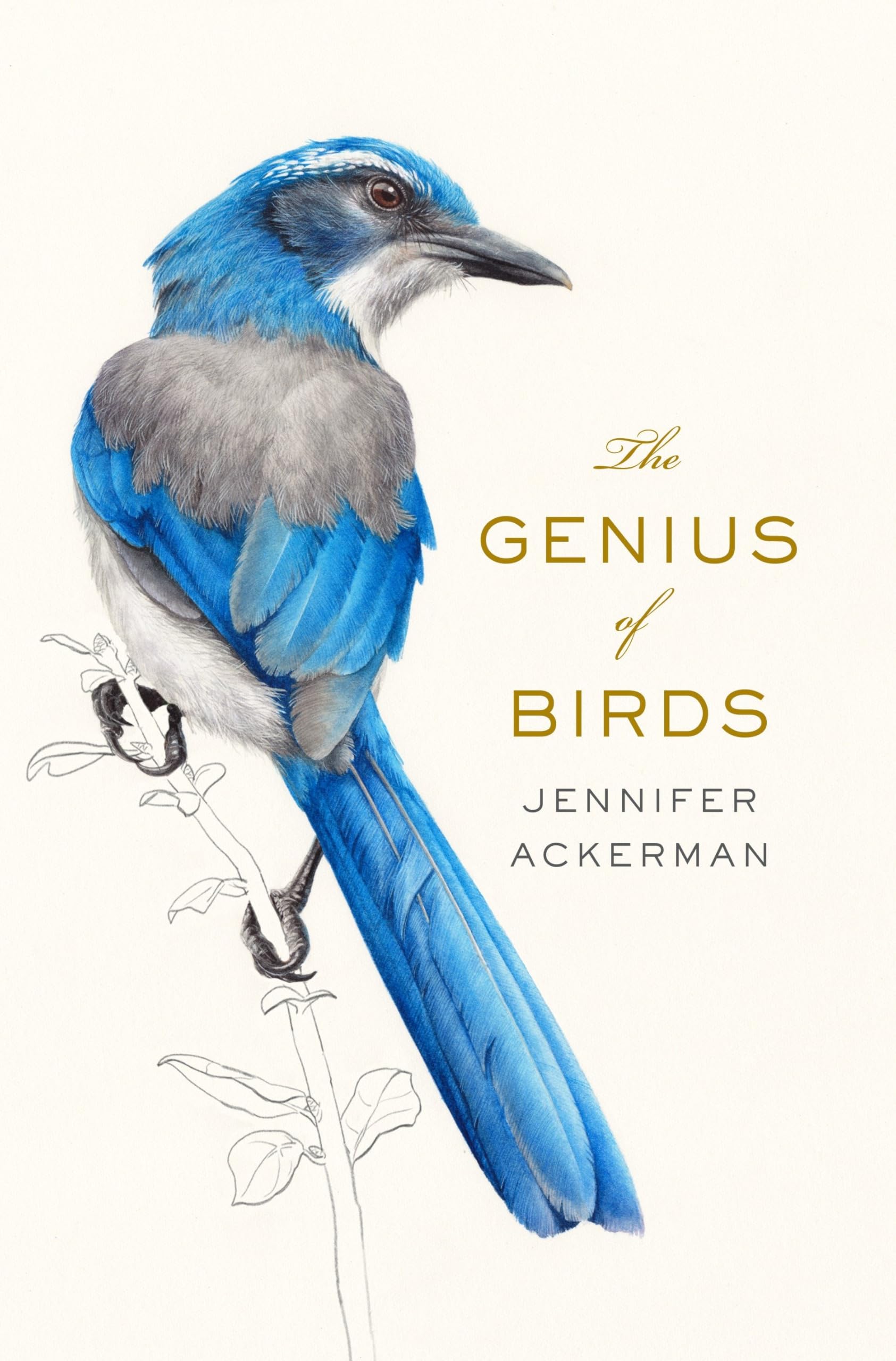 The Genius of Birds,Used
