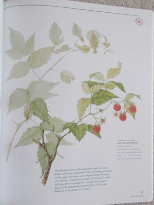 Botanical Illustration in Watercolor,New