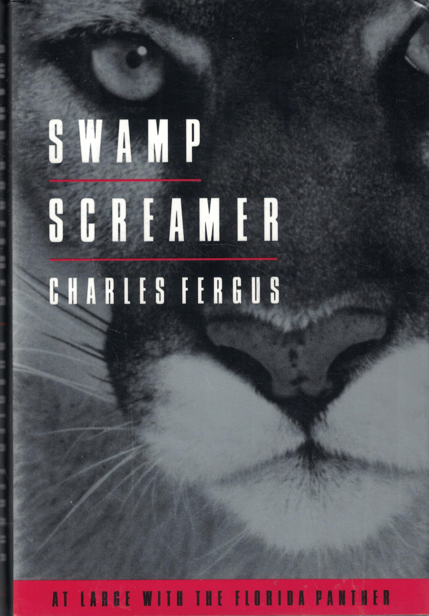 Swamp Screamer: At Large With the Florida Panther,Used