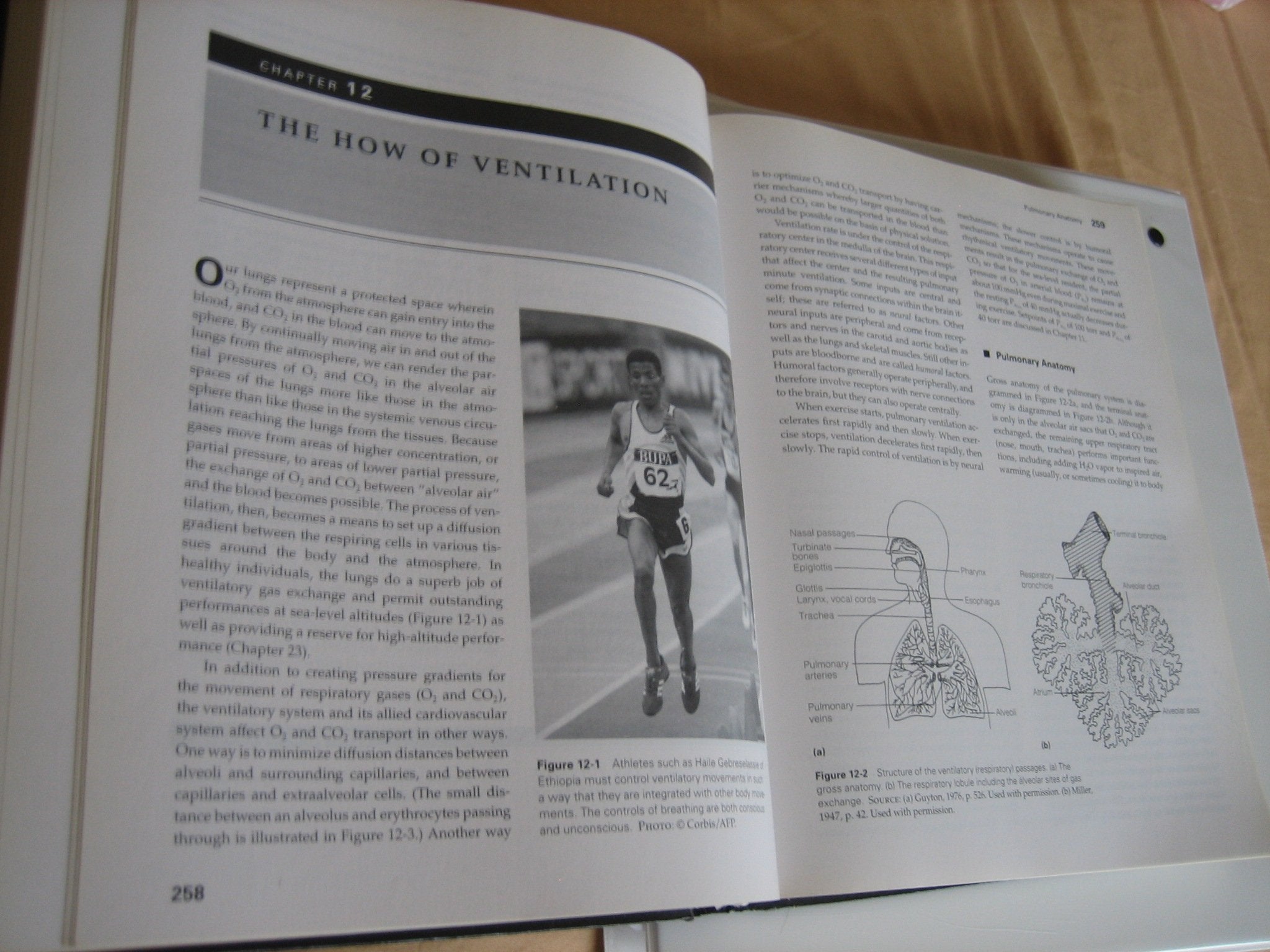 Exercise Physiology: Human Bioenergetics And Its Applications-used