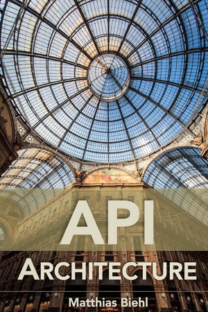 Api Architecture: The Big Picture For Building Apis (Api University Series),Used
