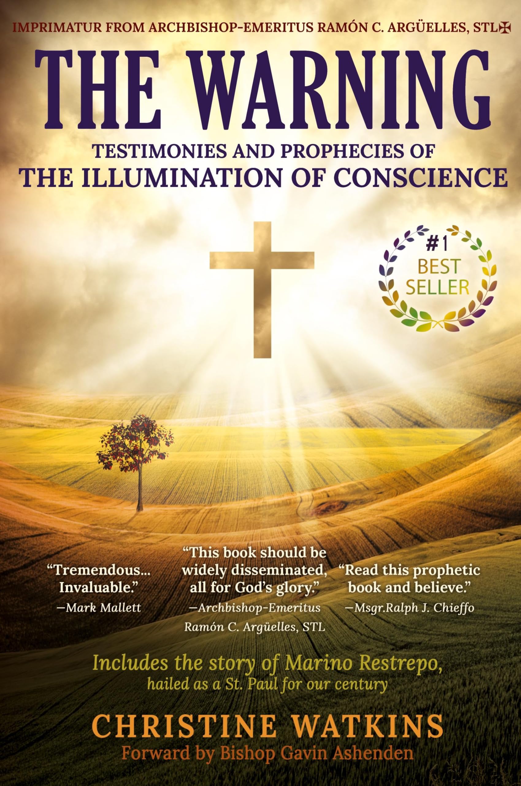 The Warning: Testimonies And Prophecies Of The Illumination Of Conscience