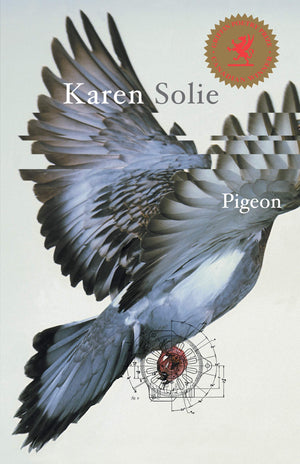 Pigeon: Poems,New