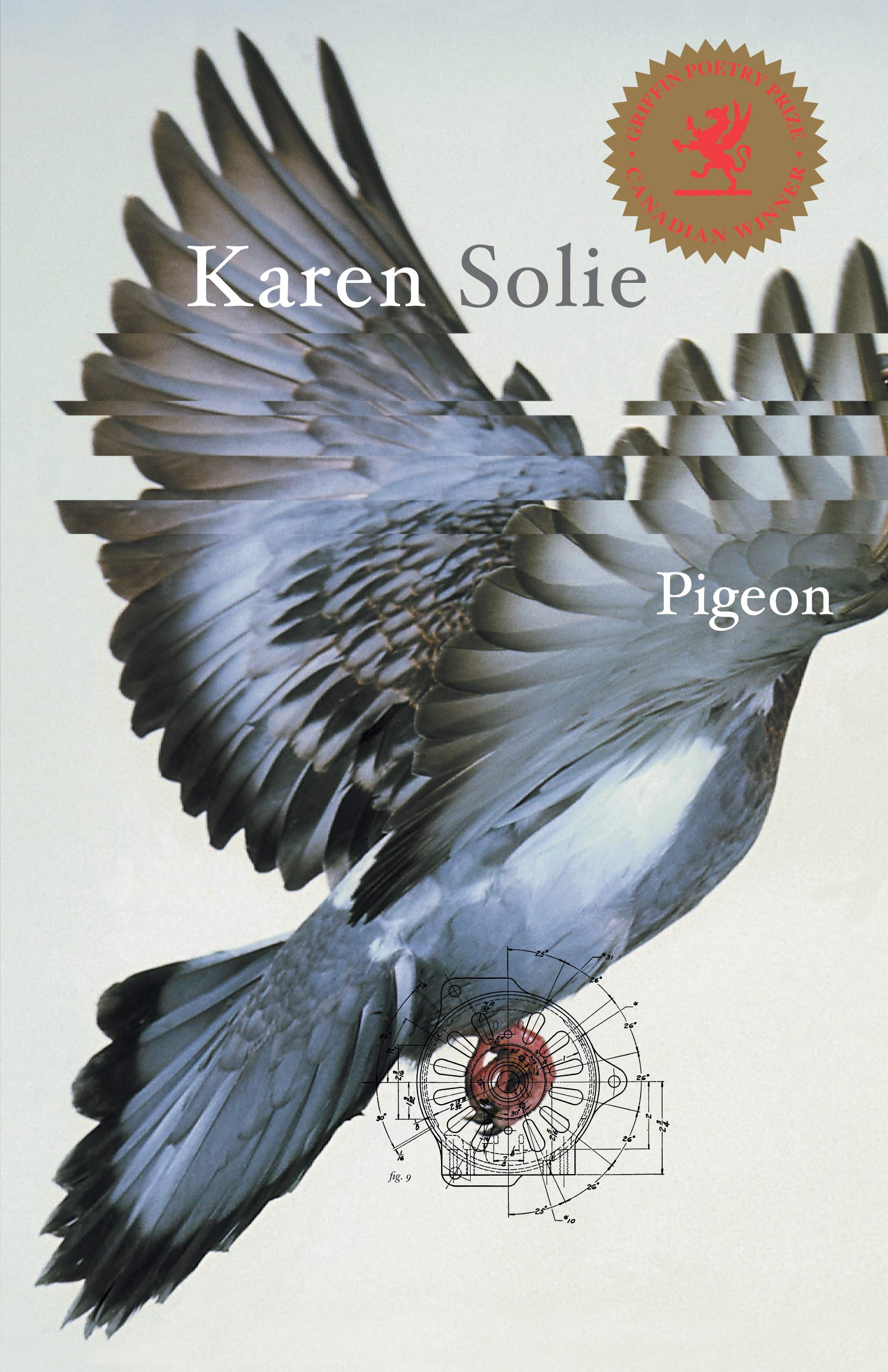 Pigeon: Poems,Used