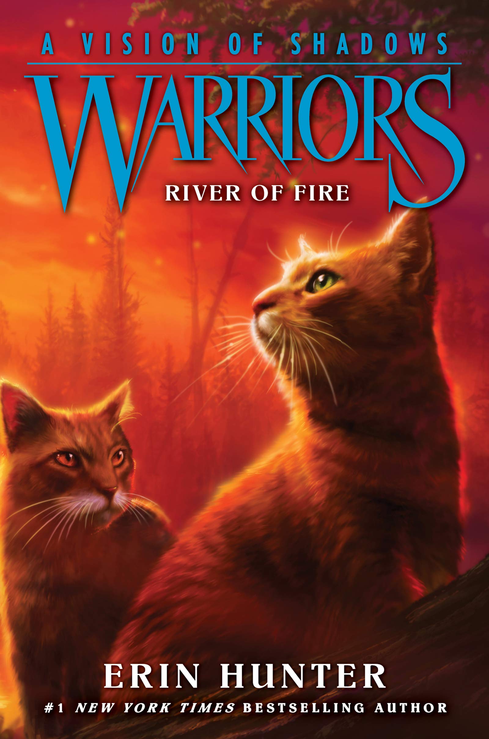 Warriors: A Vision Of Shadows #5: River Of Fire,New