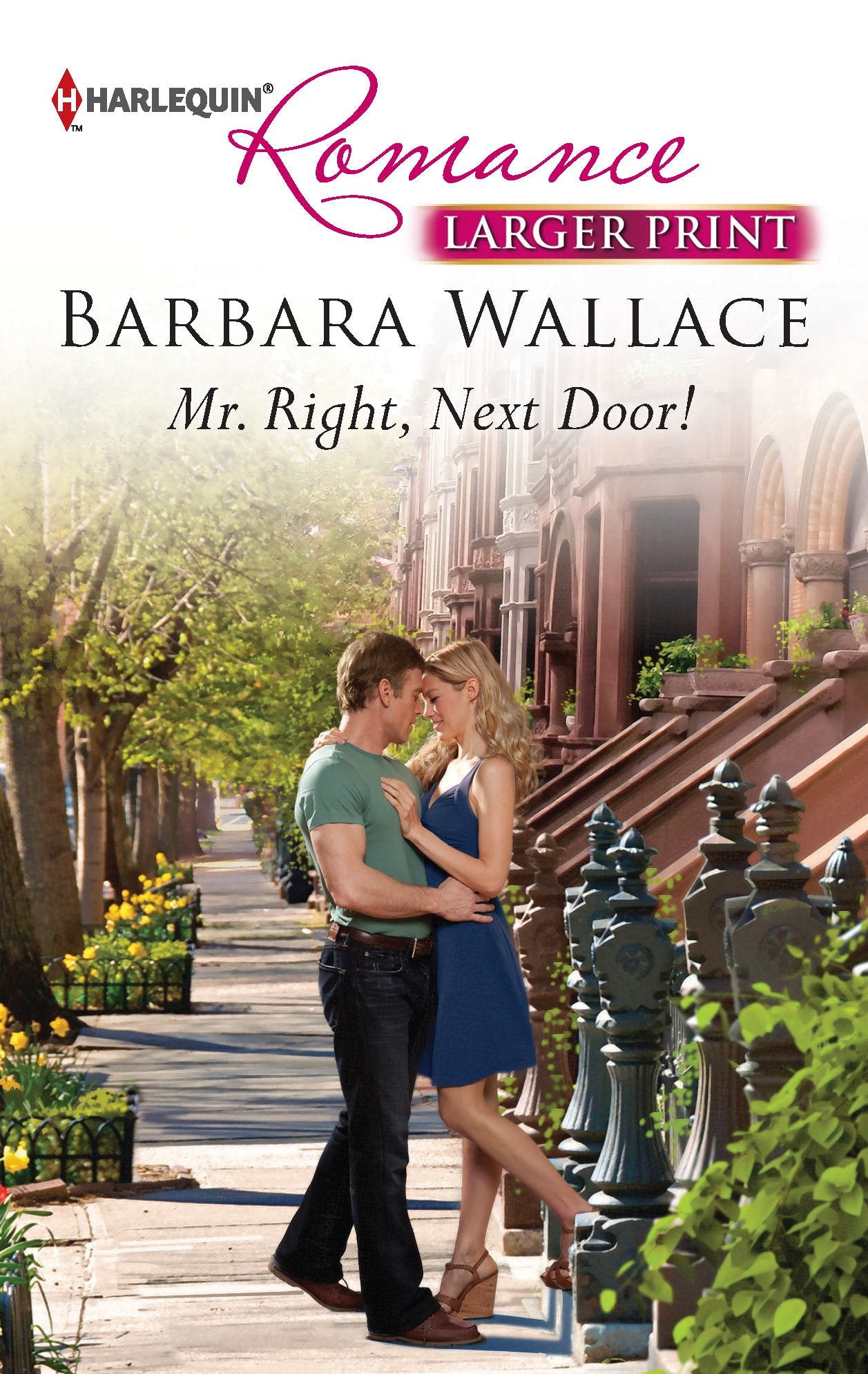 Mr. Right, Next Door!,Used