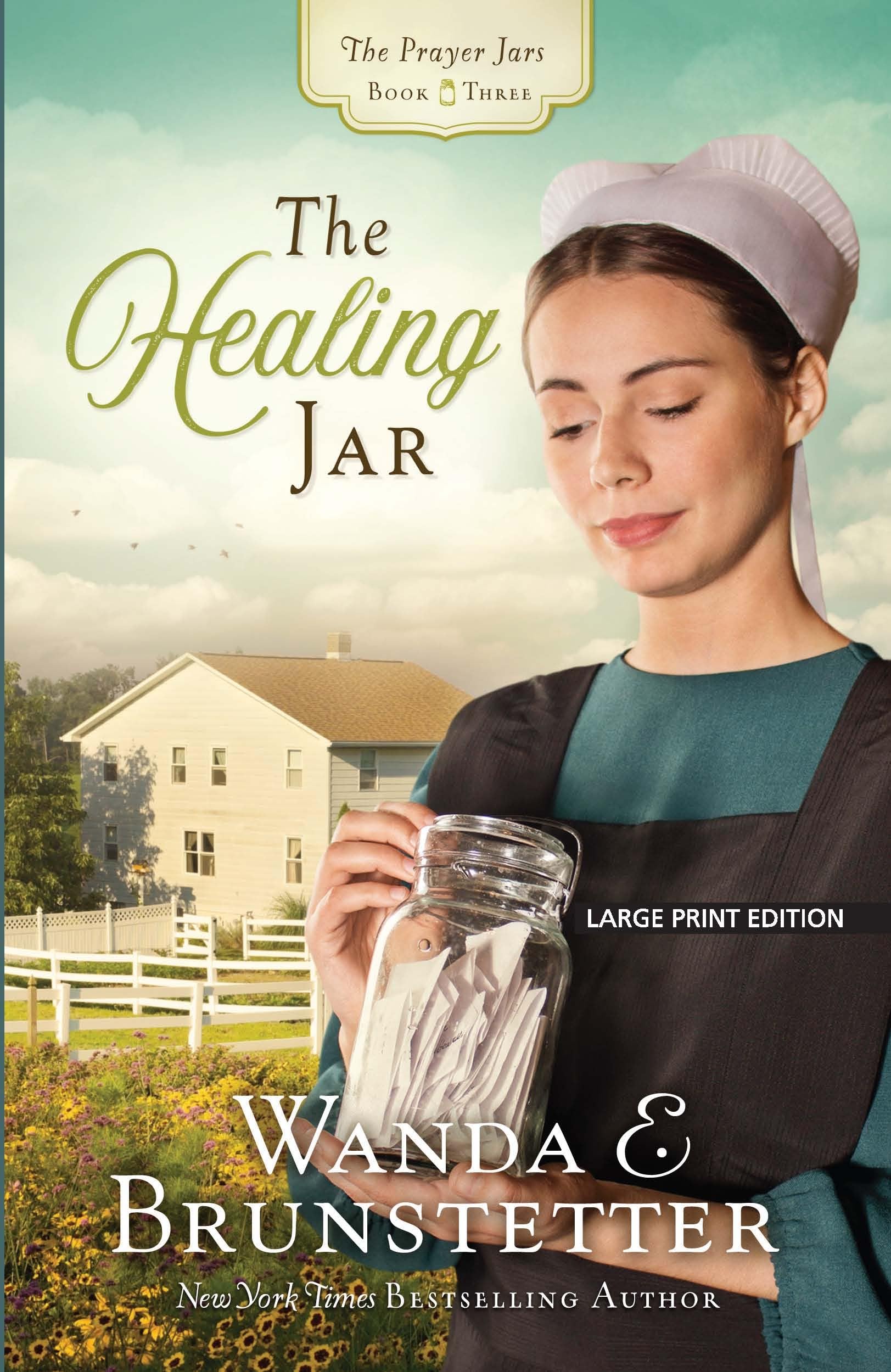 The Healing Jar (The Prayer Jars, 3),Used