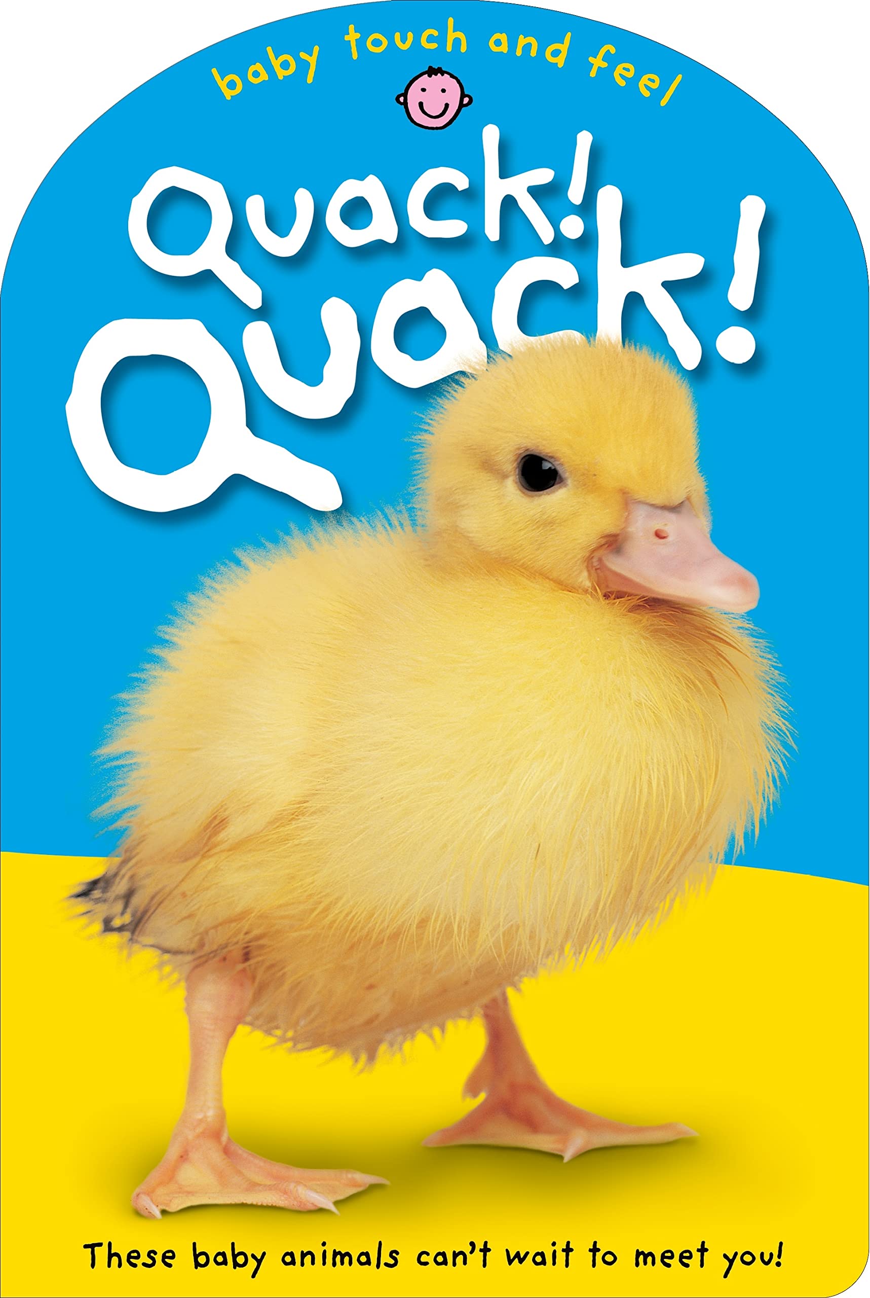 Baby Touch & Feel: Quack! Quack!: These Baby Animals Can'T Wait To Meet You (Baby Touch And Feel)-used