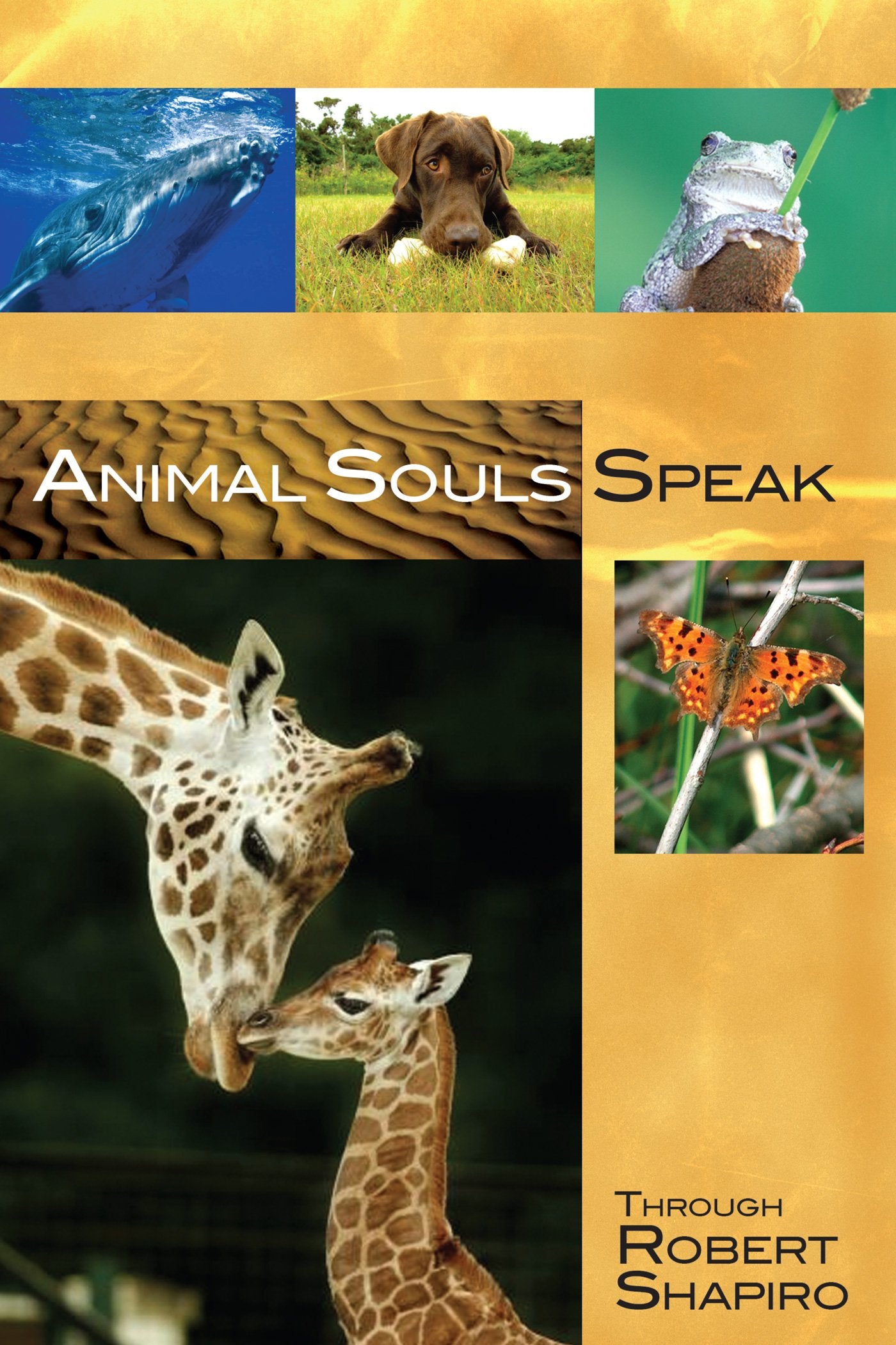 Animal Souls Speak (Explorer Race Series, Book 13),Used