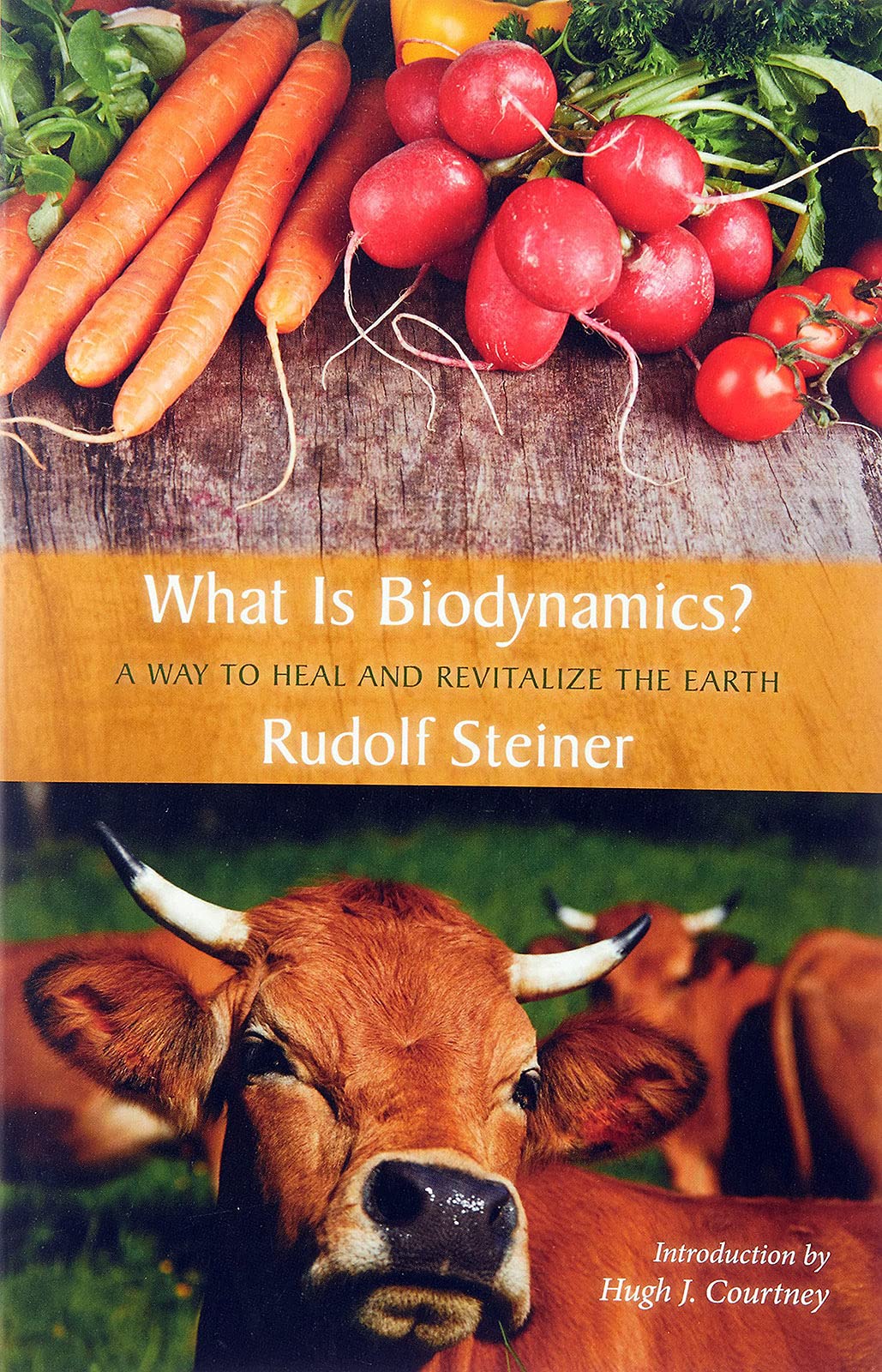 What Is Biodynamics?: A Way to Heal and Revitalize the Earth,Used