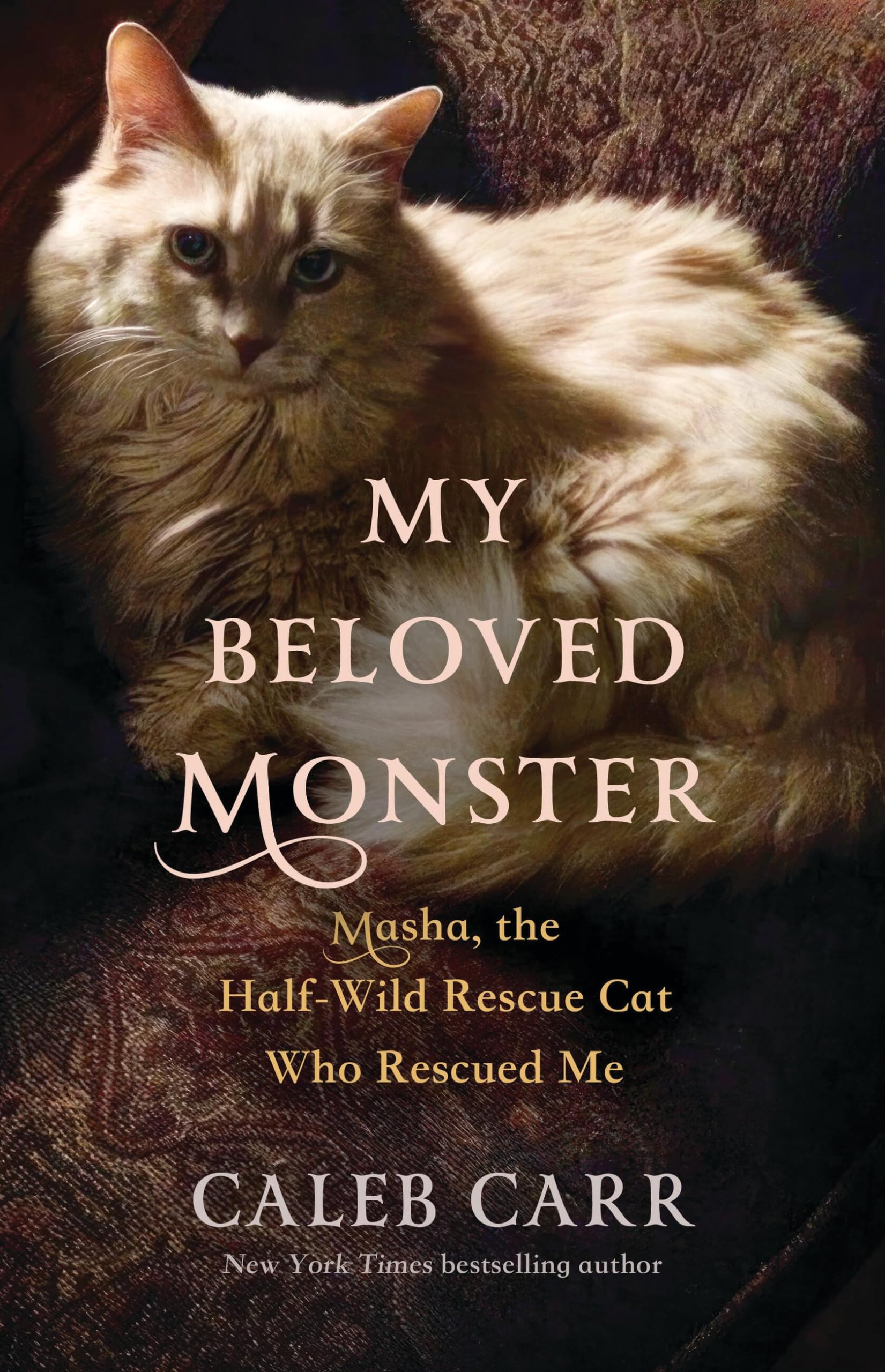 My Beloved Monster: Masha, The Halfwild Rescue Cat Who Rescued Me,Used