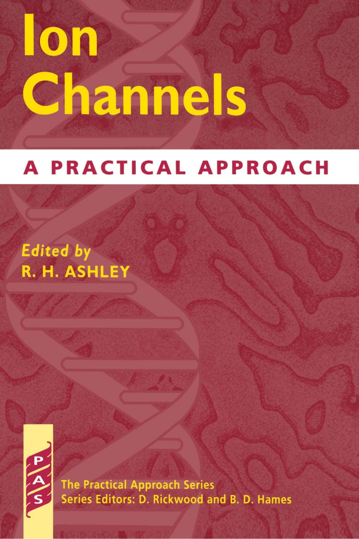 Ion Channels: A Practical Approach (Practical Approach Series),Used