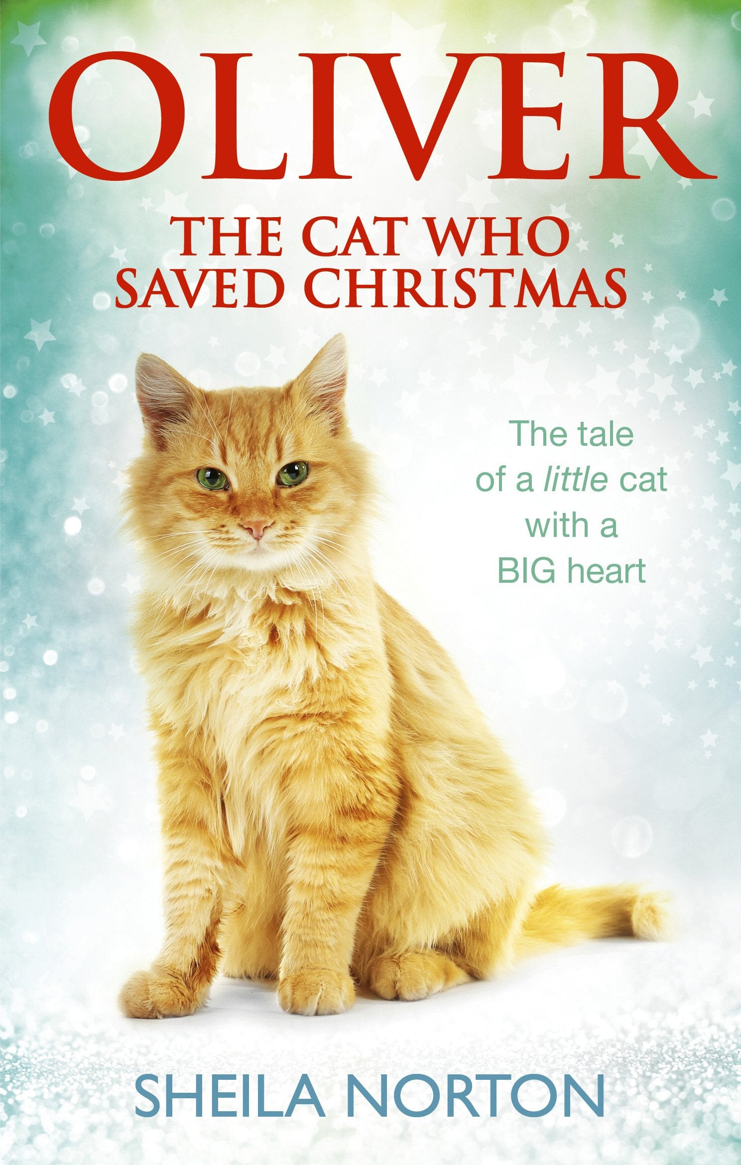 Oliver The Cat Who Saved Christmas,Used