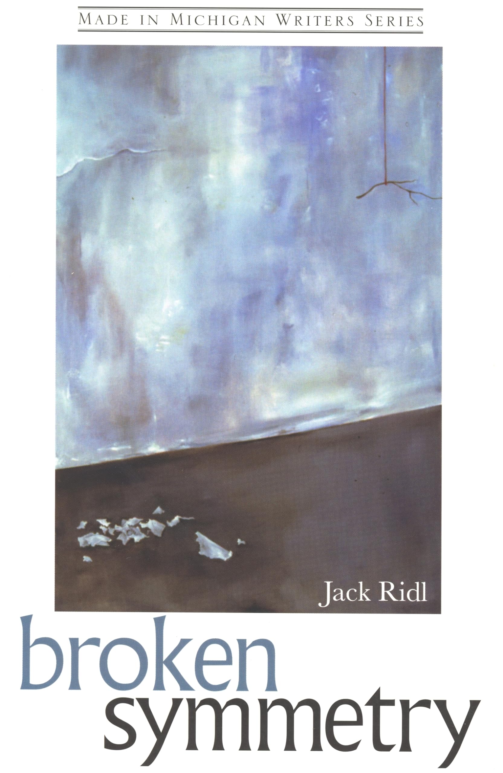 Broken Symmetry (Made In Michigan Writer Series),Used