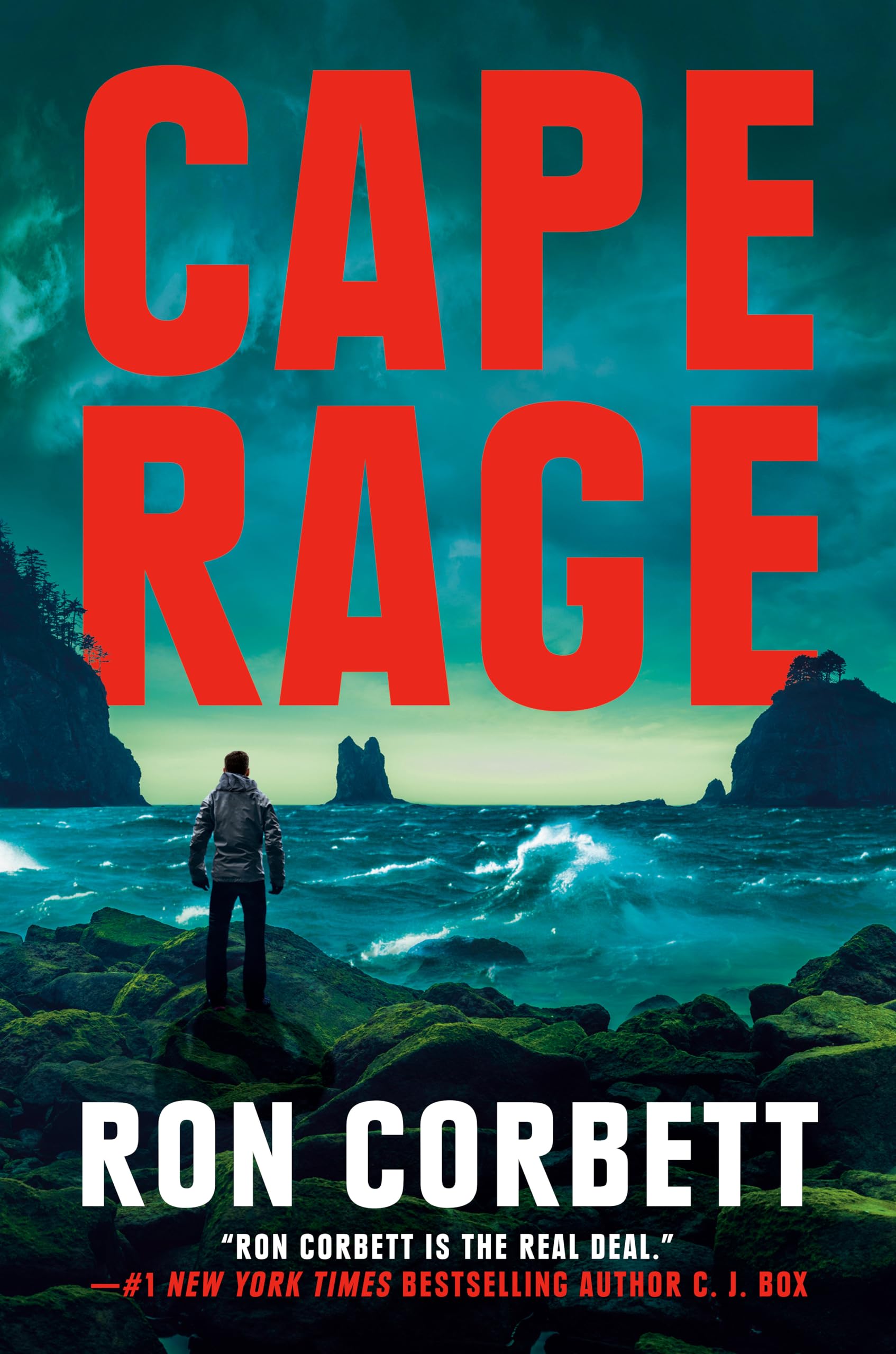 Cape Rage (A Danny Barrett Novel),Used