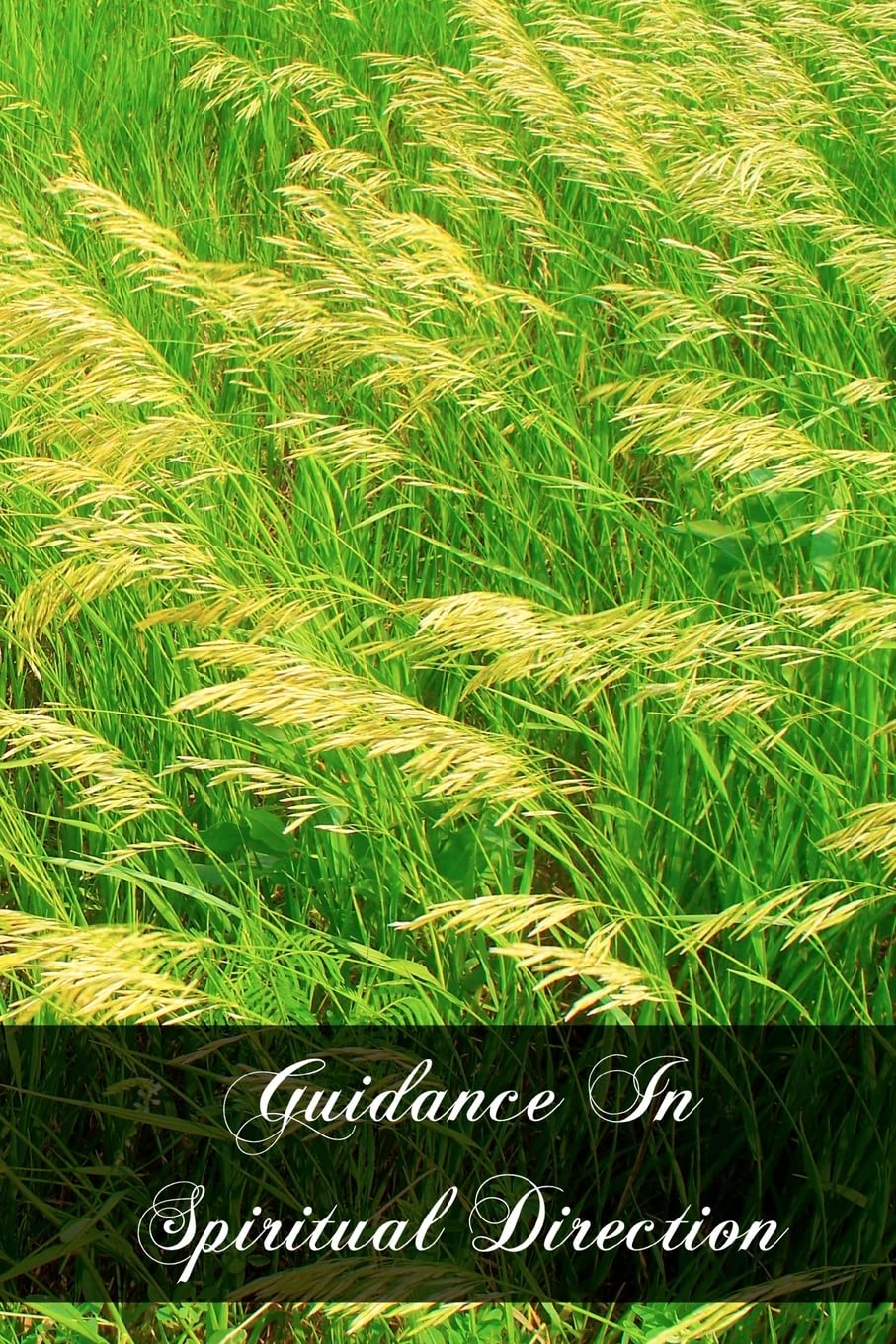 Guidance In Spiritual Direction,Used